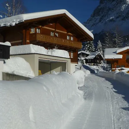 Verbrunnenhaus Apartman Grindelwald