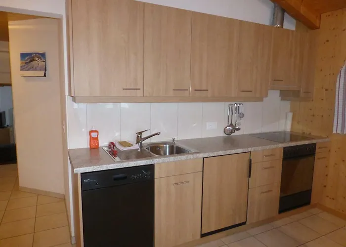 Verbrunnenhaus Apartment